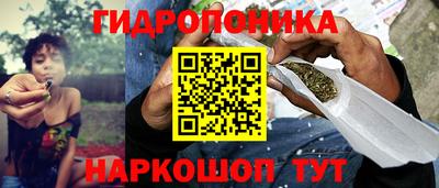 стафф Лесосибирск