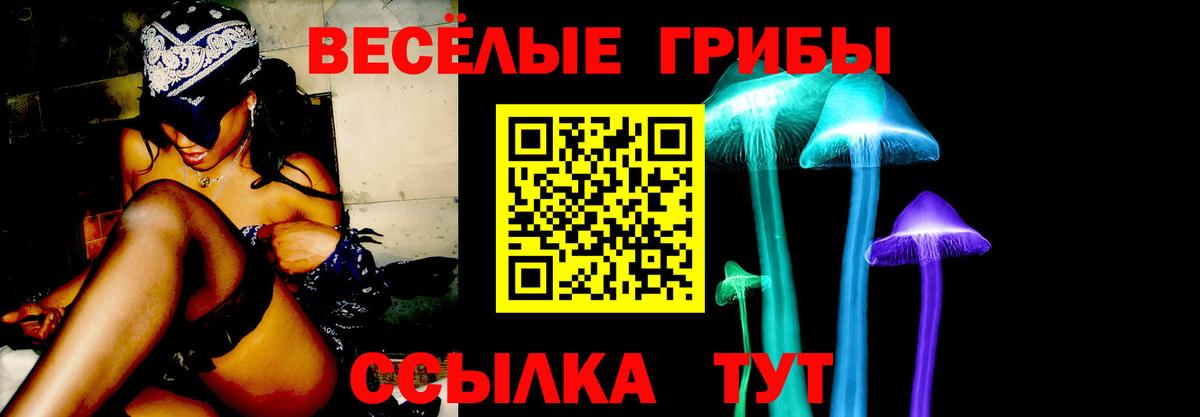 Псилоцибиновые грибы GOLDEN TEACHER  Галлюциногенные грибы GOLDEN TEACHER  Вход с VPN  Калач-на-Дону 